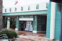 successgraffiti1 copy.JPG (17283 bytes)